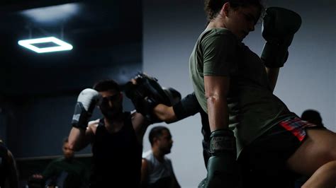 fightzone timetable